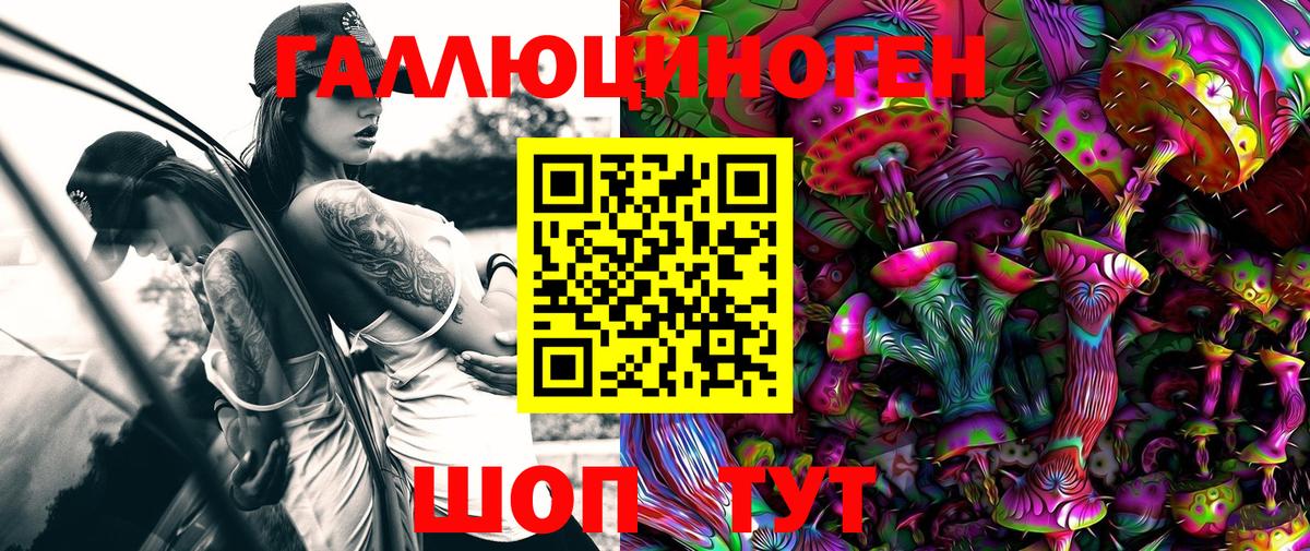 Псилоцибиновые грибы Cubensis Благовещенск