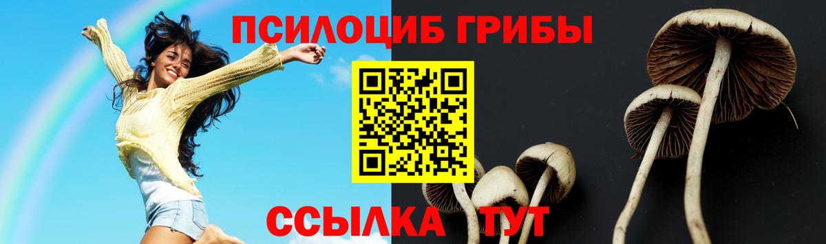 Благовещенск  Псилоцибиновые грибы GOLDEN TEACHER  Вход с VPN  Псилоцибиновые грибы GOLDEN TEACHER 